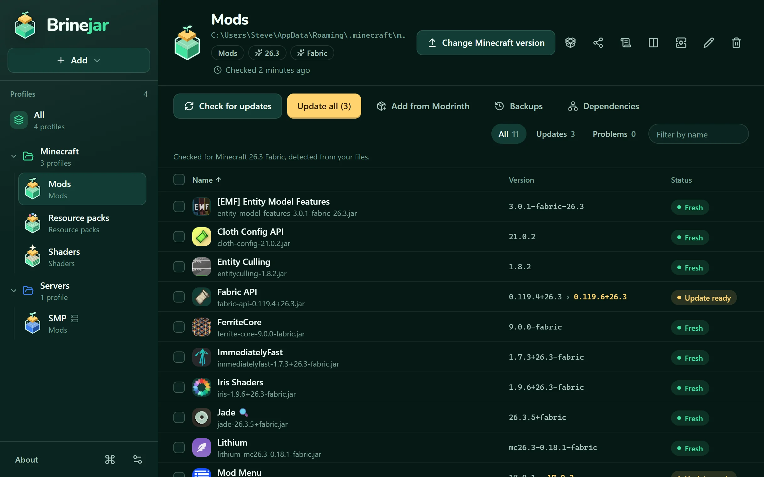 Brinejar listing the mods of a profile, with their versions and statuses